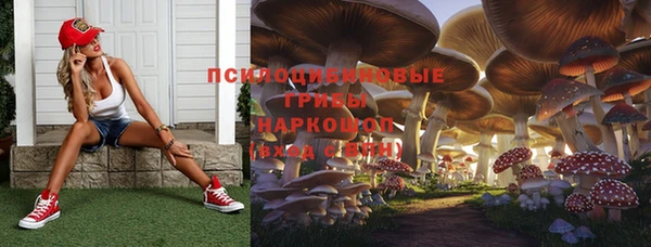 твердый Бронницы