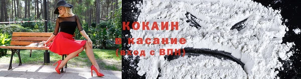твердый Бронницы