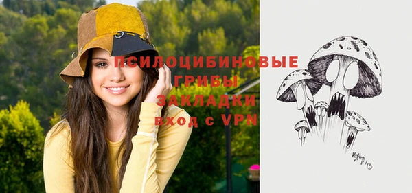 твердый Бронницы