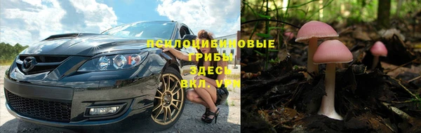 МДПВ Болотное