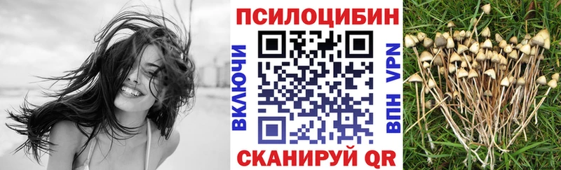 Галлюциногенные грибы Psilocybine cubensis  Весьегонск 